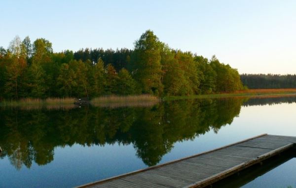 Житель Польши рассказал как дважды встретил инопланетян на озере 