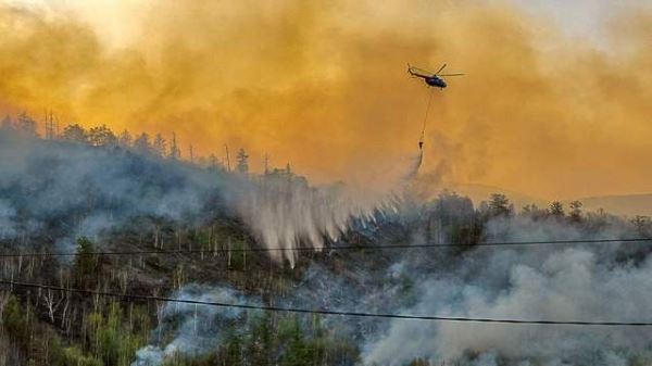 Погодный фронт: как армия готовится к борьбе с лесными пожарами
