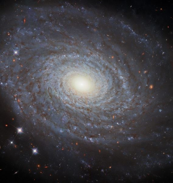 Hubble сфотографировал спиральную галактику NGC 691