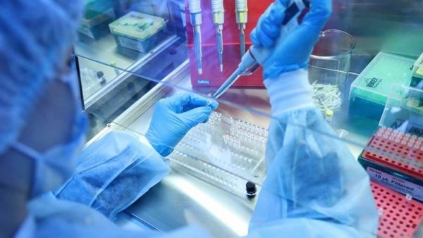 Ученые оценили опасность «лямбда"-штамма коронавируса